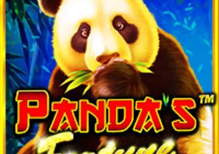 Panda's Fortune: play a free demo. Overview of the slot.